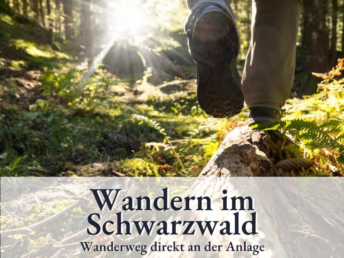 Relax-Apartment 164 Mit Indoor-Pool, Sauna, Kueche Und Netflix Schonach im Schwarzwald Esterno foto